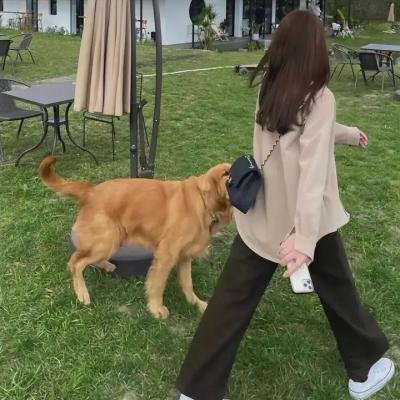 我的喜悦夏天海报